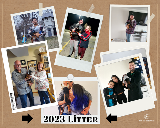 Our Spring 2023 Litter 🖤