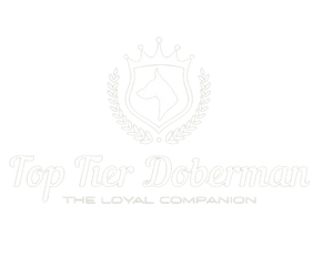 toptierdoberman