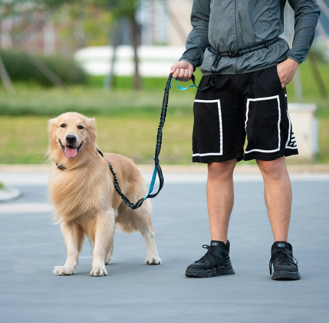 Load image into Gallery viewer, Hands Free Dog Leash with Zipper Pouch, Dual Padded Handles and Durable Bungee for Walking, Jogging and Running Your Dog (Large, 25-120 lbs, Black)
