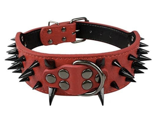 Top Tier Spiked Studded Luxury Collar For Medium Dog