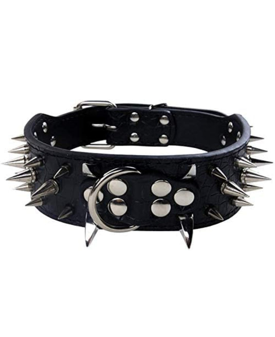 Top Tier Spiked Studded Luxury Collar For Medium Dog