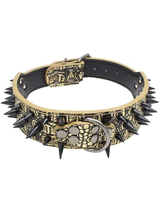 Top Tier Spiked Studded Luxury Collar For Medium Dog