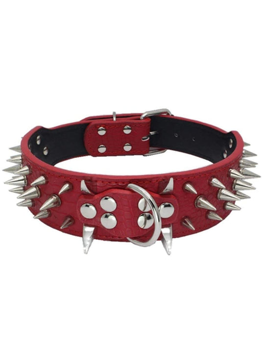 Top Tier Spiked Studded Luxury Collar For Medium Dog