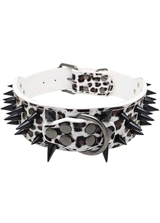 Top Tier Spiked Studded Luxury Collar For Medium Dog